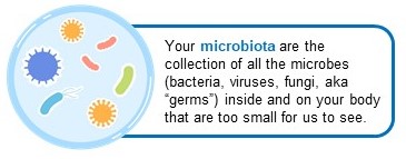 Your microbiota are the collection of all the microbes (bacteria, viruses, fungi, aka “germs”) inside and on your body that are too small for us to see.